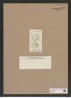 Stephanopyxis irregularis Grun. (de-Toni-Nr.: Genus 187, Species 4661) Zeichnungen Sammlung Grunow Nr. 8304 (NHMW-BOT-W0377703)